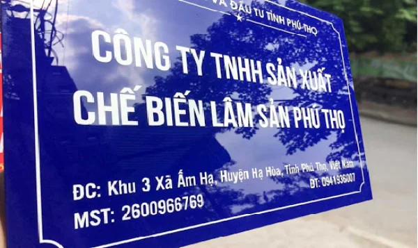 Các thủ tục sau khi thành lập doanh nghiệp cần thực hiện ngay