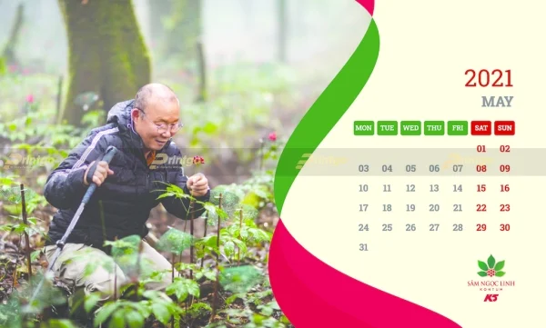 Printgo x Sâm Ngọc Linh Kon Tum K5: Thiết kế và in ấn bộ lịch tết ấn tượng giúp lan tỏa thương hiệu