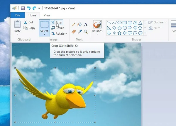 Chỉnh sửa ảnh bằng Microsoft Paint