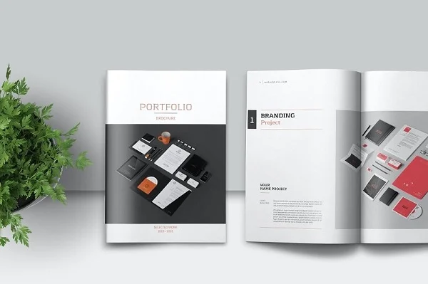 sự khác nhau giữa Portfolio và CV