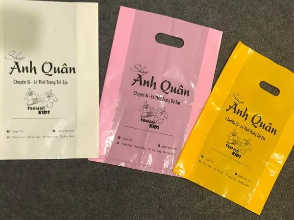 In túi ni lông Hà Nội