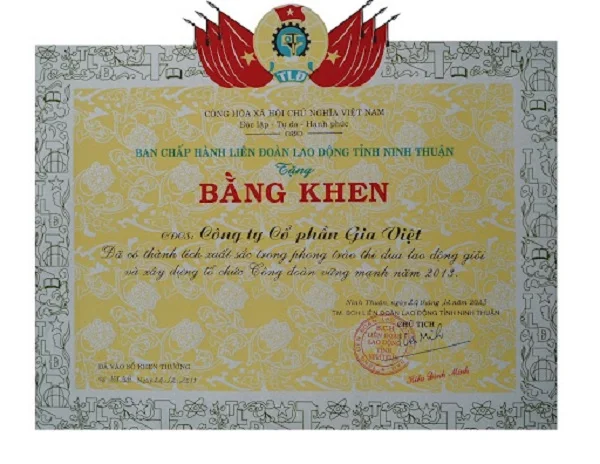 Tổng hợp những mẫu giấy khen công đoàn đẹp nhất 