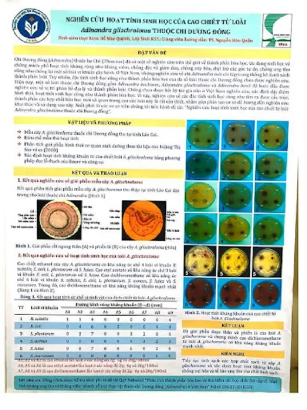 Mẫu poster báo cáo nghiên cứu khoa học đẹp mắt, ấn tượng