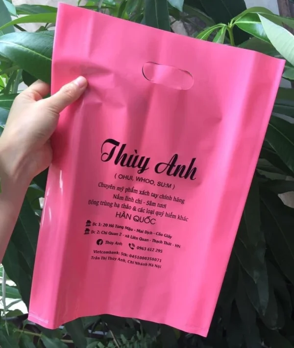 Những mẫu túi ni lông đẹp, ấn tượng và độc đáo