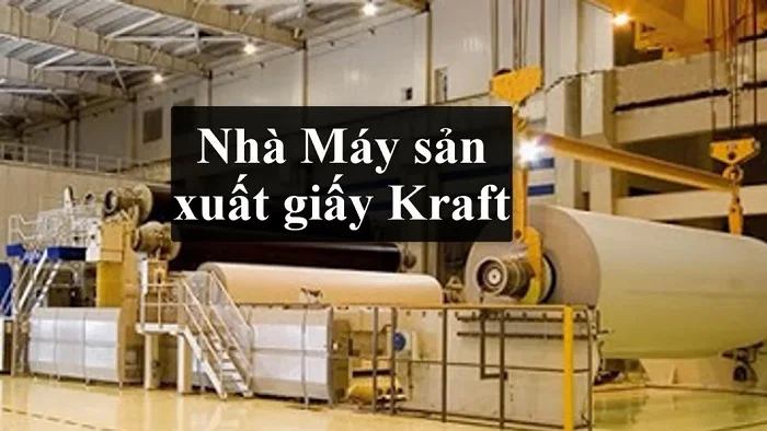 Tìm hiểu về quy trình sản xuất giấy hiện nay