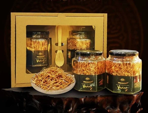 Đông trùng hạ thảo là gì? Tác dụng của đông trùng hạ thảo đối với sức khỏe con người