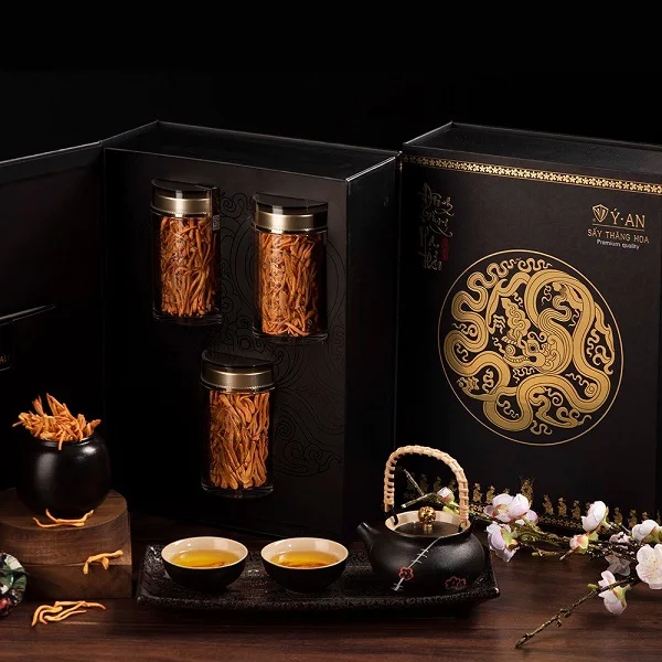 Các mẫu hộp đông trùng hạ thảo nổi bật trên thị trường