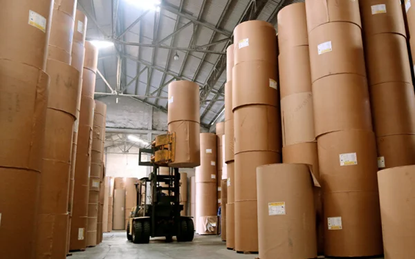 Giá giấy, giá bìa carton tái chế tại thị trường Châu Âu tăng cao kỷ lục