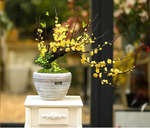 Tặng hoa mai cho khách hàng vào dịp tết