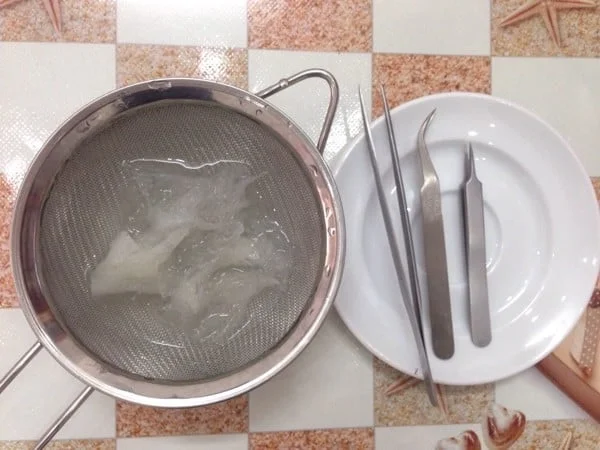 Dụng cụ nhặt lông yến
