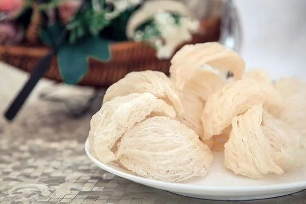 Hình dạng của yến sào