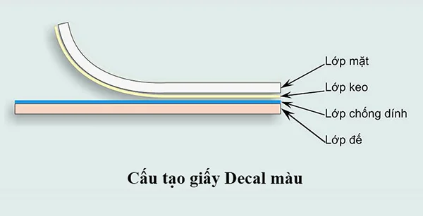 Xưởng thiết kế và in decal yến sào giá cạnh tranh - In nhanh - Chất lượng cao