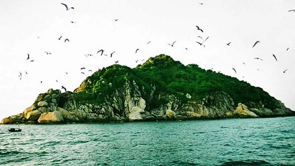 Đảo yến