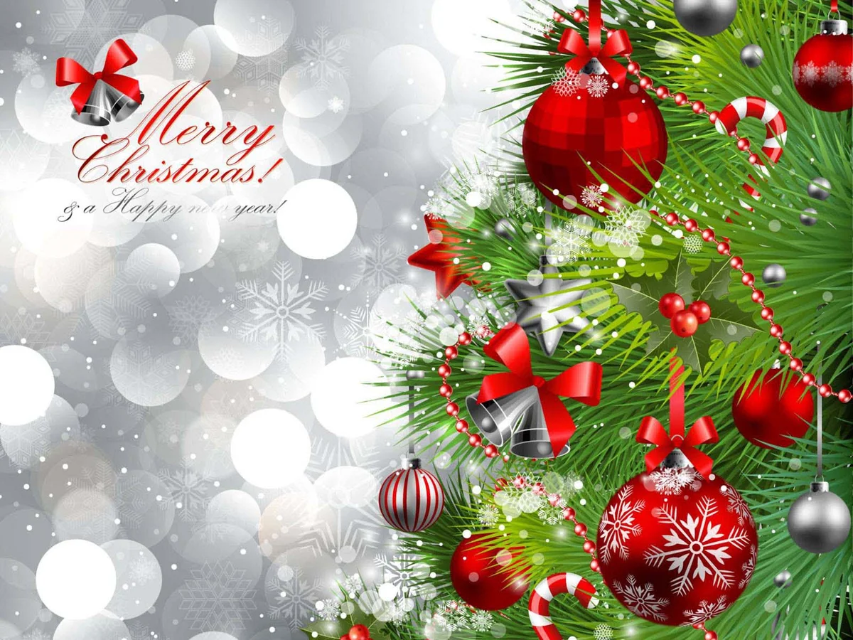 Mẫu ảnh cây thông noel đẹp