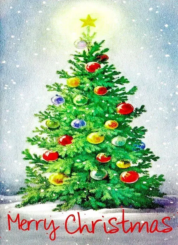 Mẫu ảnh cây thông noel đẹp