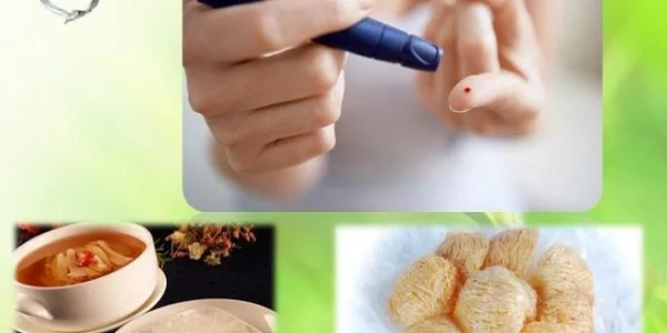 Ăn yến sào không đúng mức là nguyên nhân dẫn đến bệnh tiểu đường