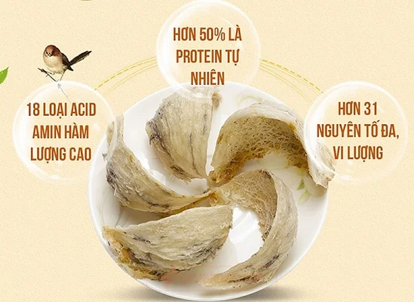 Các thành phần có trong yến sào
