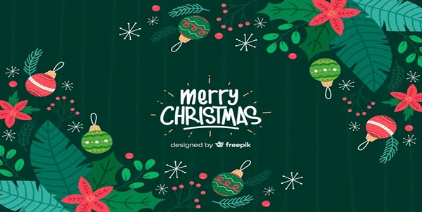 Avatar noel