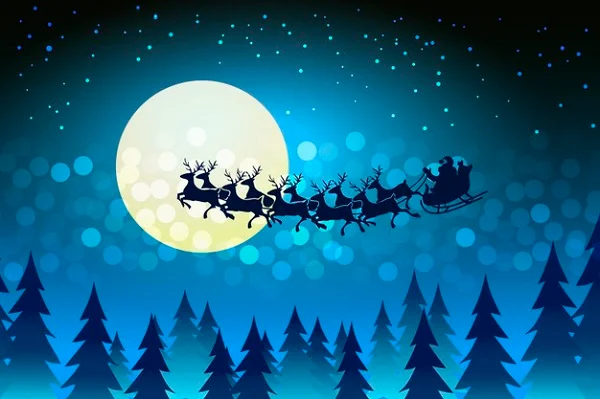 Avatar noel
