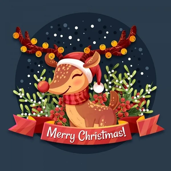 Avatar noel