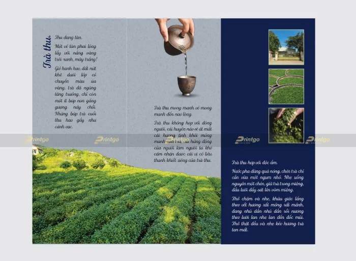Bạch Vân Tơ và Printgo: Thiết kế và in hộp đựng trà tinh tế, mang đậm dấu ấn trà đạo