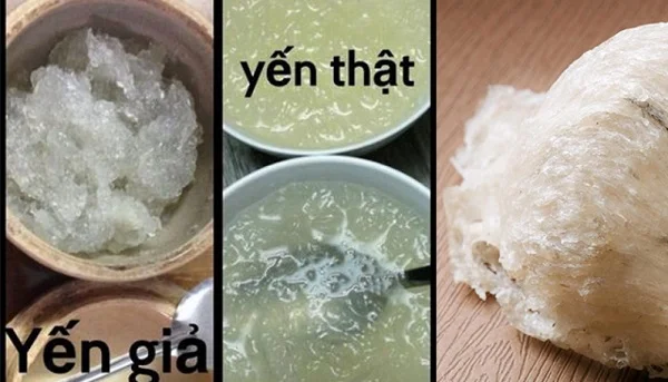 Bật mí kinh nghiệm cách chọn yến thật của dân biển