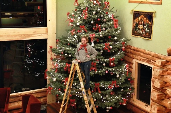 Mẫu cây thông Noel đẹp