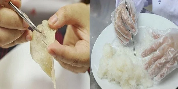 Công đoanh sơ chế yến mất nhiều thời gian nên giá thành phẩm thường khá cao