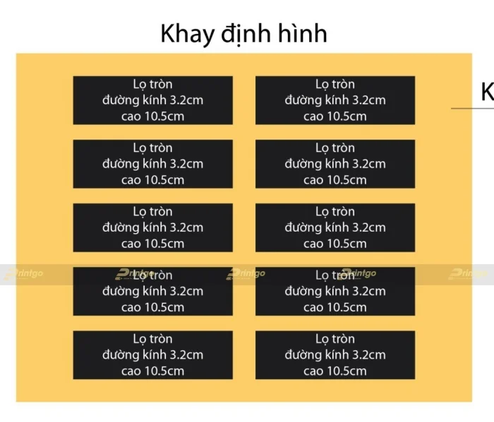 Ikimoto và Printgo: Thiết kế và in hộp đựng đông trùng hạ thảo cao cấp