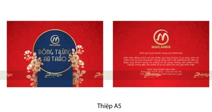Mailands và Printgo: Thiết kế và in hộp đựng quà tết cao cấp Đông trùng hạ thảo