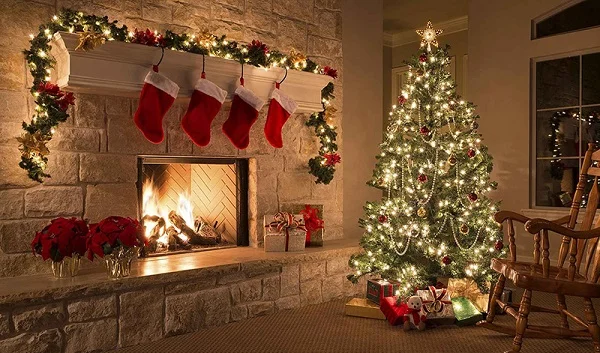 Cây thông Noel