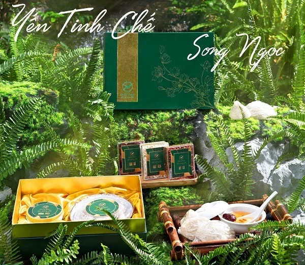 Printgo x ENVA.NEST: Thiết kế và in hộp đựng yến sào 2 tầng độc đáo, cao cấp