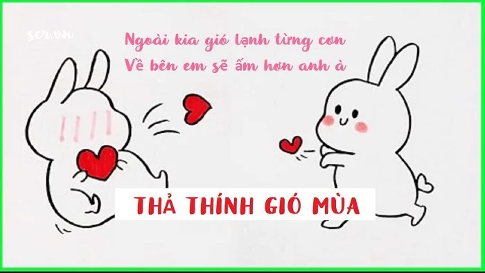 Stt Noel độc đáo chính là bí kíp để có gấu trong đêm Giáng Sinh