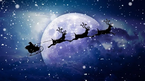 Sự thật về giáng sinh - Tại sao tuần lộc Noel đều là con cái?