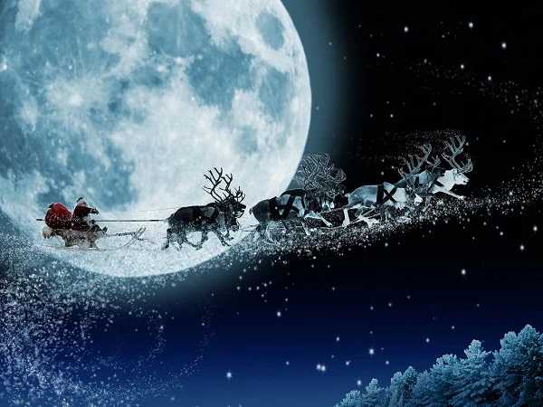 Con tuần lộc noel