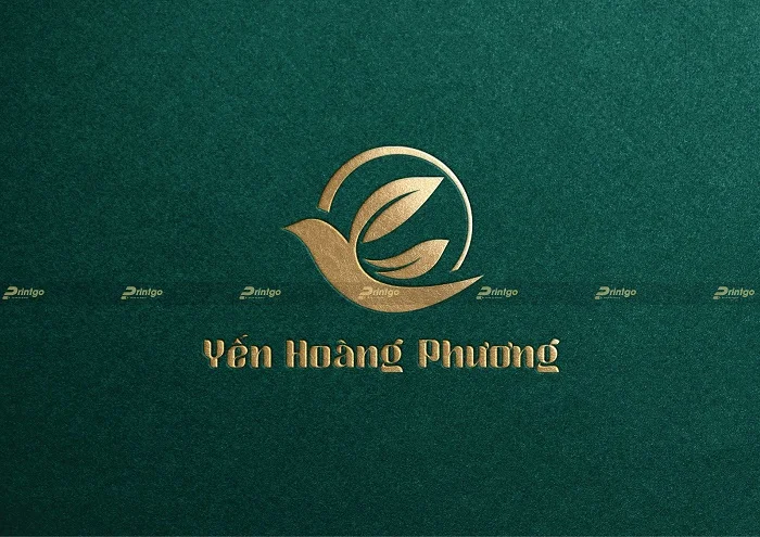 Hoàng Phương và Printgo: Thiết kế bộ logo thương hiệu cho lĩnh vực yến sào cao cấp