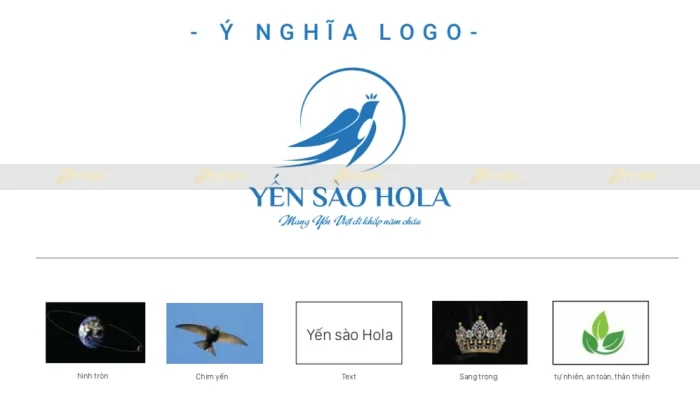 [Branding] Thiết kế logo tạo bước đi bền vững cho thương hiệu yến sào Hola