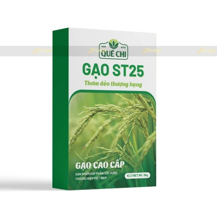 [CONCEPT] Thiết kế bao bì cho thương hiệu gạo ST25 Quế Chi