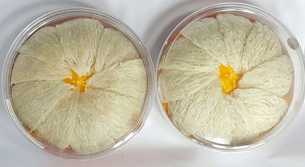 Tổng hợp mẫu hộp nhựa và hũ thủy tinh đựng yến phổ biến nhất hiện nay