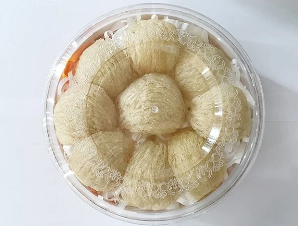 Tổng hợp mẫu hộp nhựa và hũ thủy tinh đựng yến phổ biến nhất hiện nay