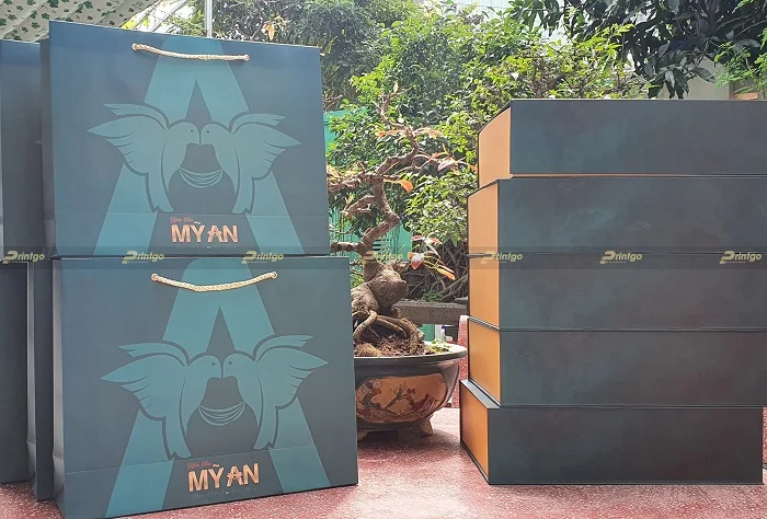 Mỹ An và Printgo: Thiết kế và in ấn hộp đựng yến sào đặc biệt cho thương hiệu cao cấp