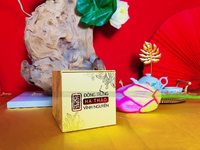 Vĩnh Nguyên và Printgo: In hộp đựng đông trùng hạ thảo với quy cách hộp độc đáo, sang trọng