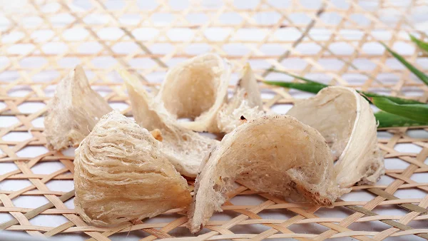 Tổ yến sào là gì? Ăn yến sào tự nhiên hay yến sào nuôi tốt hơn?