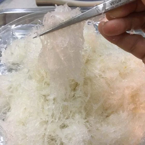 Tổ yến thô là gì? Những điều cần biết về tổ yến thô