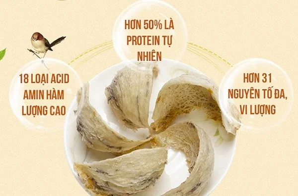 Tổ yến thô là gì? Những điều cần biết về tổ yến thô