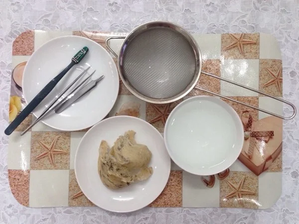 Tổ yến thô là gì? Những điều cần biết về tổ yến thô