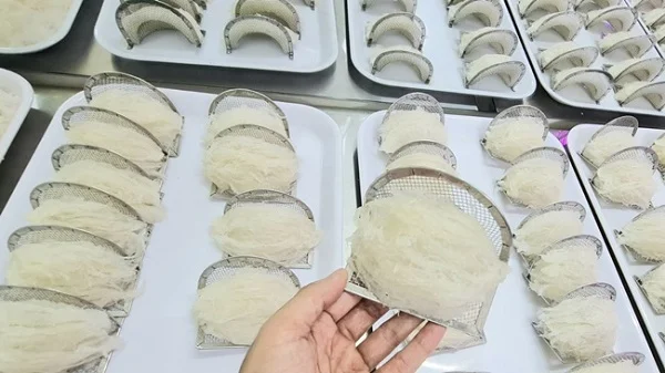 Tổ yến tinh chế là gì? Sự khác nhau của yến tinh chế và yến rút lông