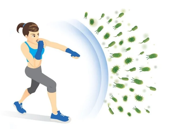 Đông trùng hạ thảo chữa bệnh gì? Những tác dụng không ngờ tới