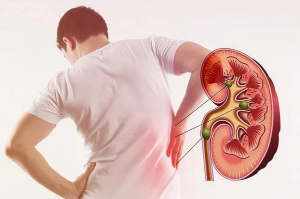 Đông trùng hạ thảo chữa bệnh gì? Những tác dụng không ngờ tới