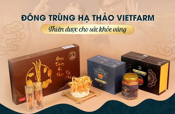 Đông trùng hạ thảo Vietfarm - Địa chỉ mua “thiên dược” chất lượng, uy tín